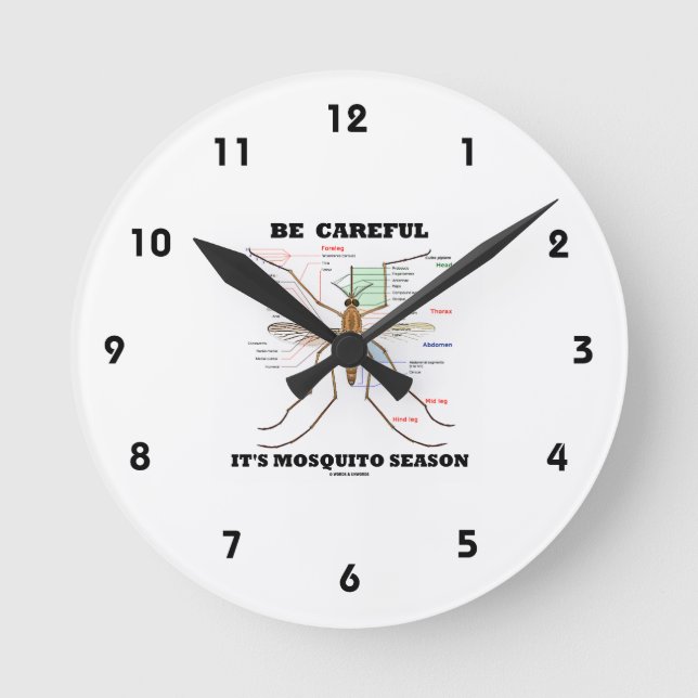 Be Careful It's Mosquito Season (Mosquito Anatomy) Round Clock (Front)