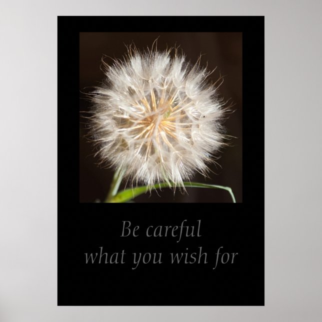 Be careful what you wish for poster (Front)