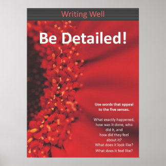 Be Detailed Red Poster