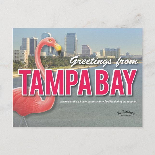 Be Floridian - Tampa Bay Postcard (Front)