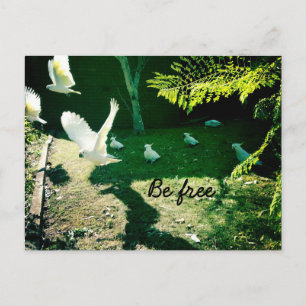 Be free postcard