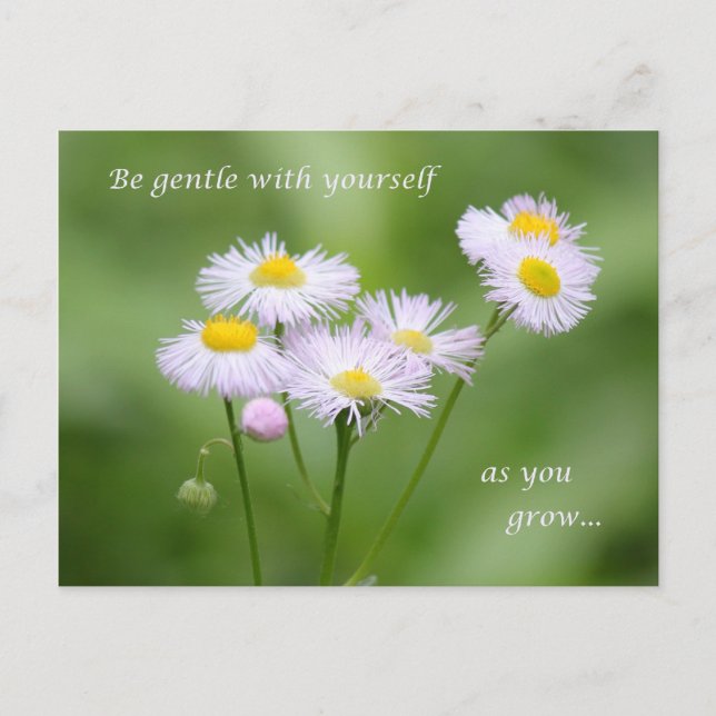 Be gentle with yourself postcard (Front)