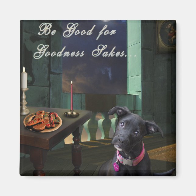 Be Good For Goodness Sakes... Magnet (Front)