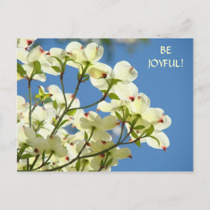 BE JOYFUL! Post Card White DOGWOOD Tree Flowers