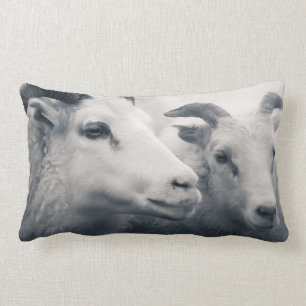 Be Kind Lumbar Cushion