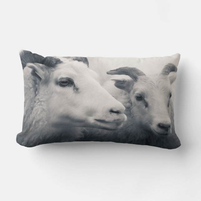 Be Kind Lumbar Cushion (Front)