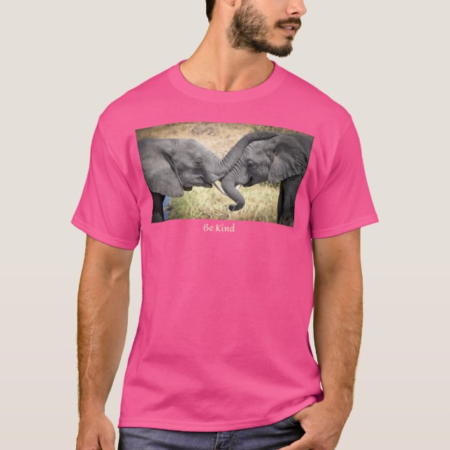 Be Kind T-Shirt (Front)