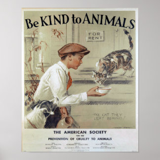 Be Kind to Animals-Cats Poster