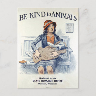 Be Kind to Animals USA vintage postcard