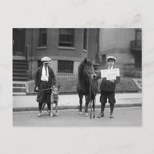 Be Kind to Animals Week, 1923 Postcard (Front)