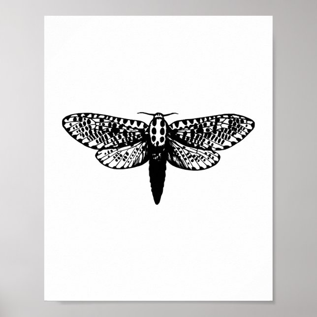 Be Kind with Dragonfly (script) Poster (Front)