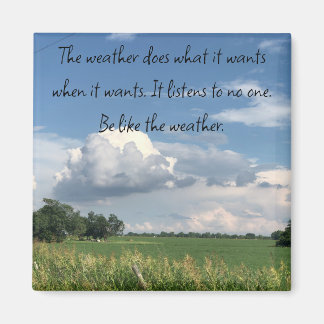 Be Like the Weather Magnet