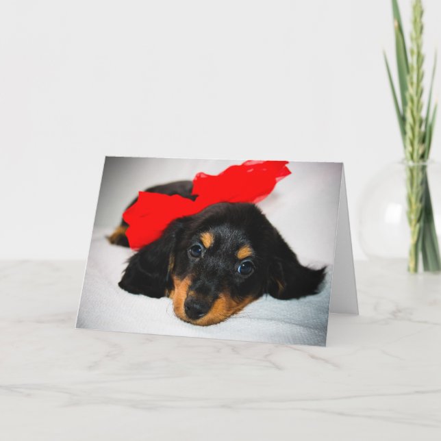 Be Mine-Dachshund puppy valentine's day card (Front)