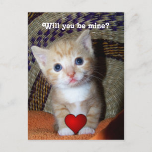 Be Mine Kitten Postcard