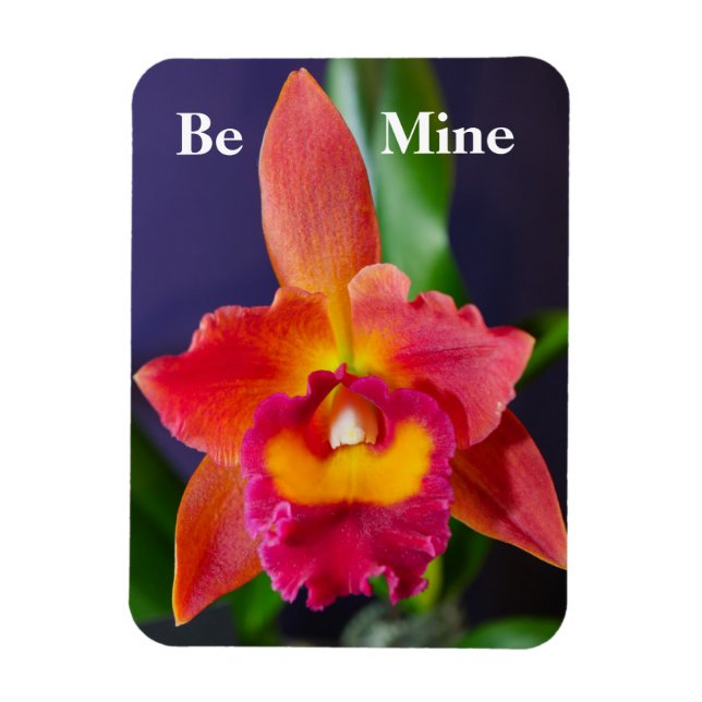 Be Mine Orange Orchid Flexible Magnet (Vertical)