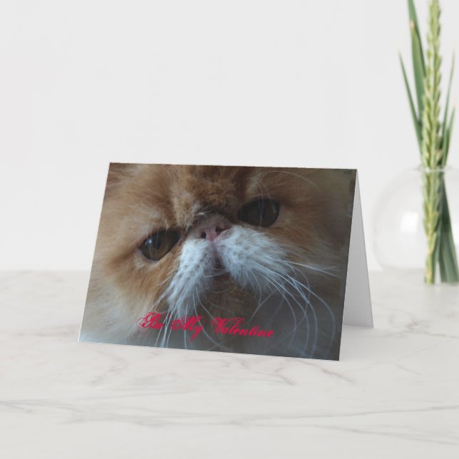 Be My Valentine persian cat card (Front)