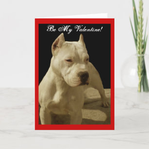 Be My Valentine pitbull greeting card
