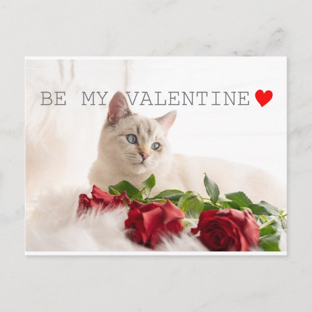 Be my Valentine Postcard (Front)