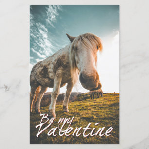 Be my Valentine with looking Horse V2.0