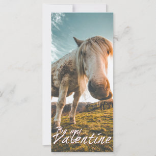 Be my Valentine with looking Horse V2.0