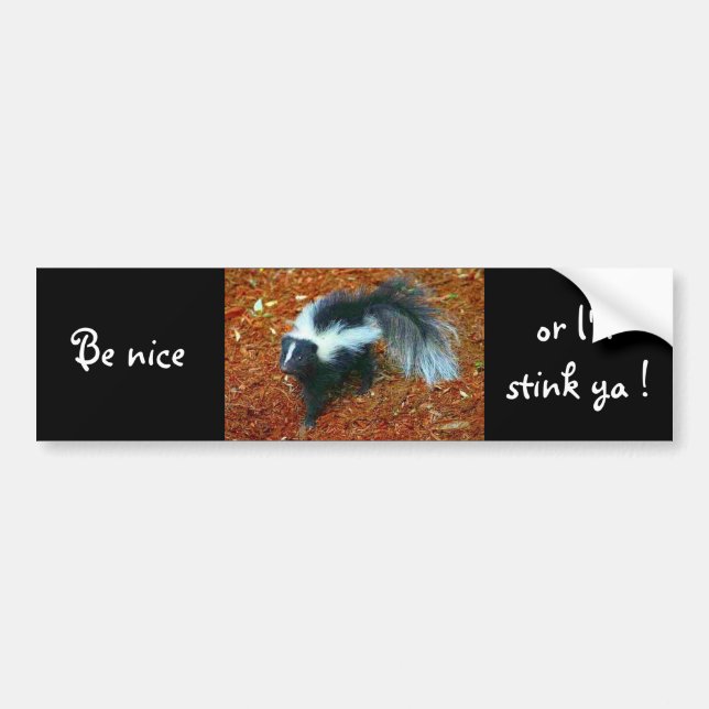 Be nice or I'll stink ya!-bumper sticker (Front)