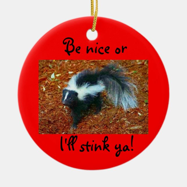 Be nice or I'll stink ya!-circle ornament (Front)