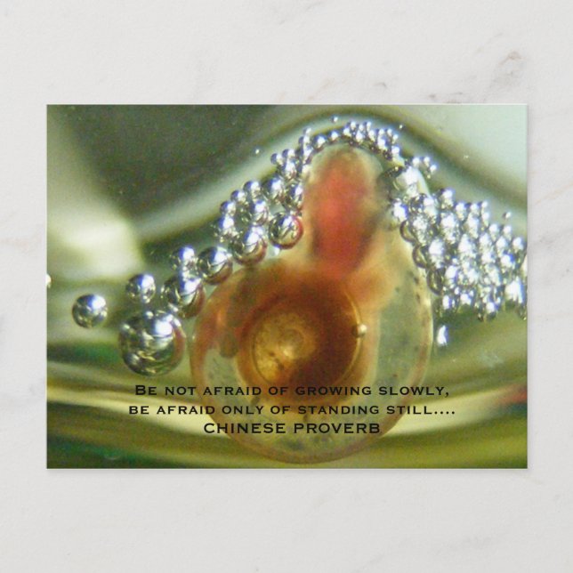Be not afraid of growing slowly, be a... postcard (Front)