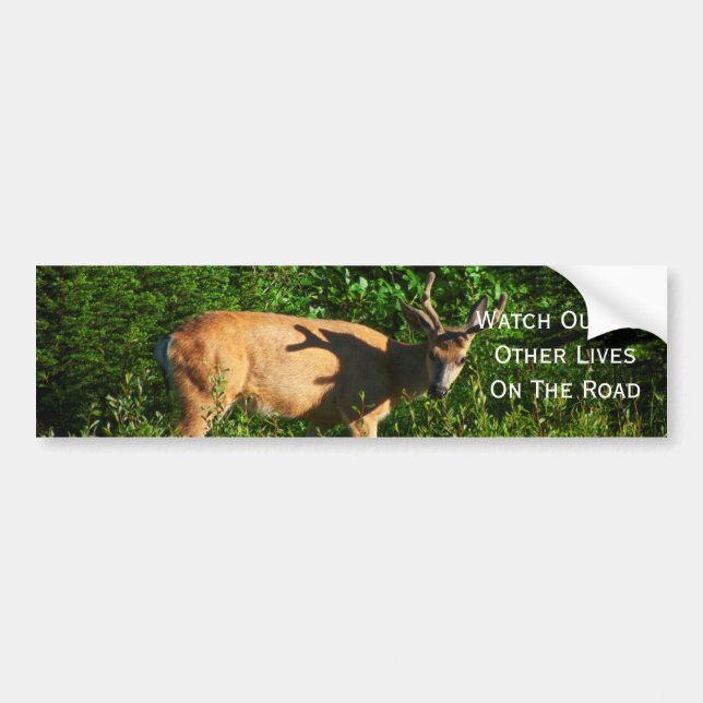 Be on Your Way Bumper Sticker (Front)