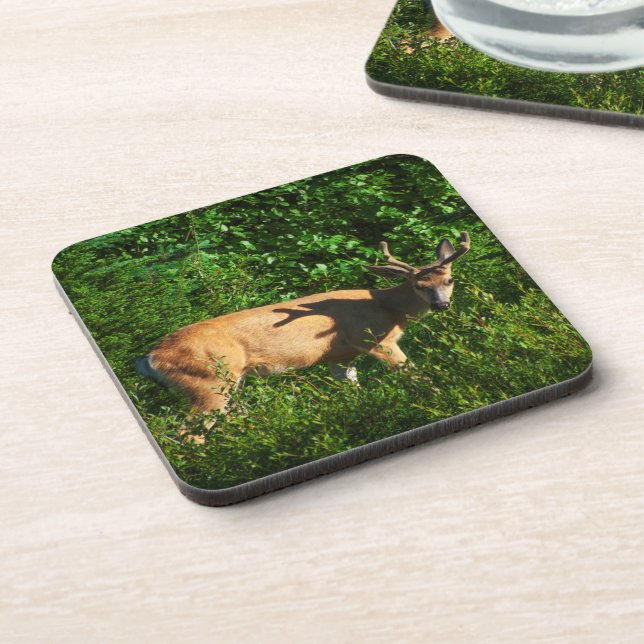 Be on Your Way Coaster (Left Side)