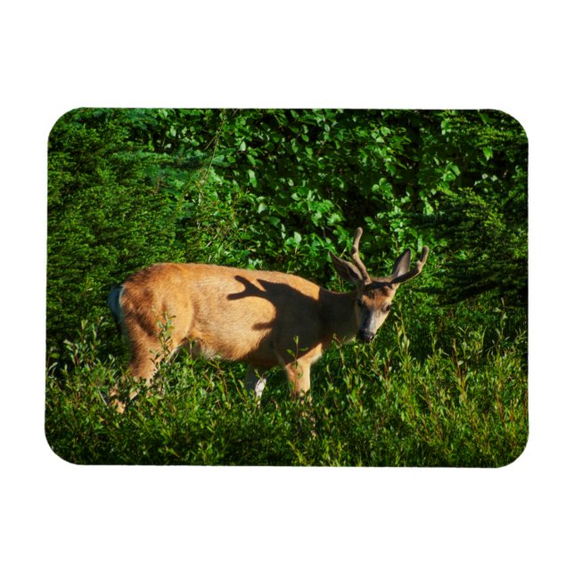 Be on Your Way Magnet (Horizontal)