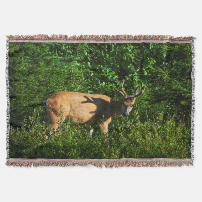 Be on Your Way Throw Blanket (Front)