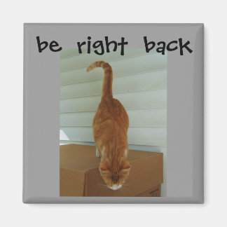 be right back magnet, stray1 magnet