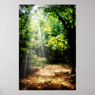 Be Still (Forest Landscape Poster) Poster