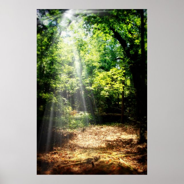 Be Still (Forest Landscape Poster) Poster (Front)