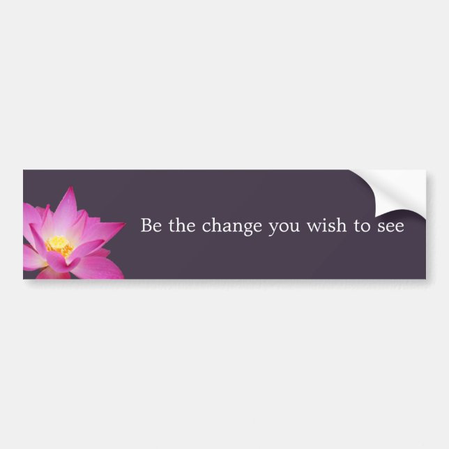 Be the change bumper sticker (Front)