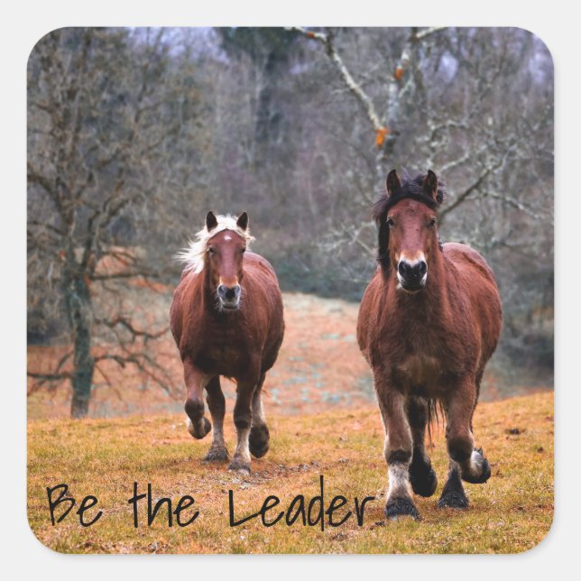Be the Leader Horses Racing Square Sticker (Front)