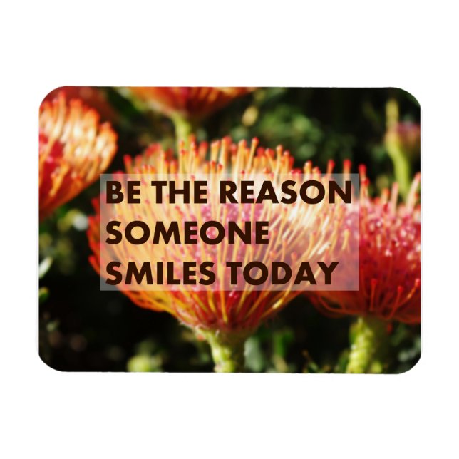 Be the reason someone smiles today magnet (Horizontal)