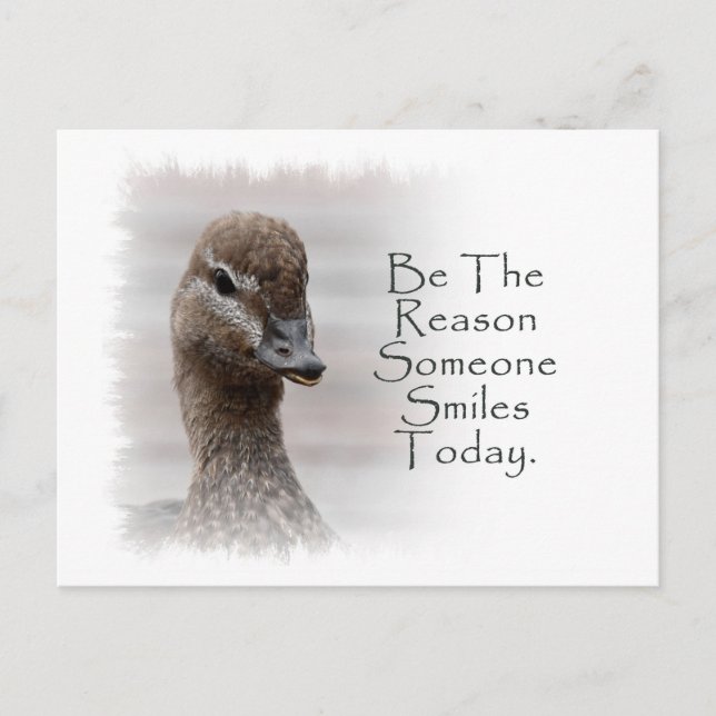Be The Reason Someone Smiles Today Postcard (Front)