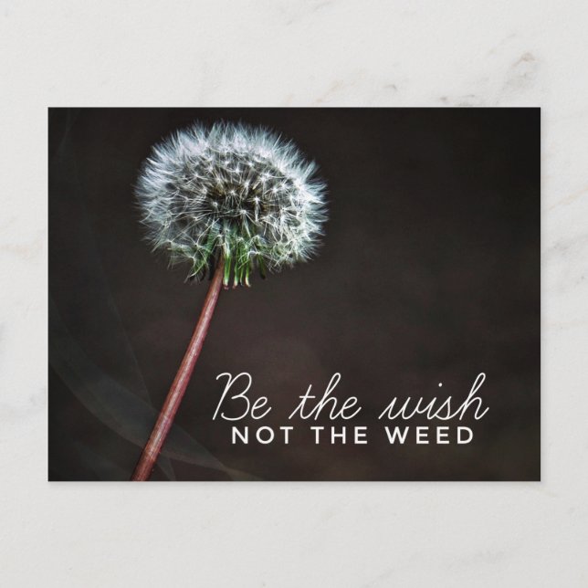 Be the Wish Post Card (Front)