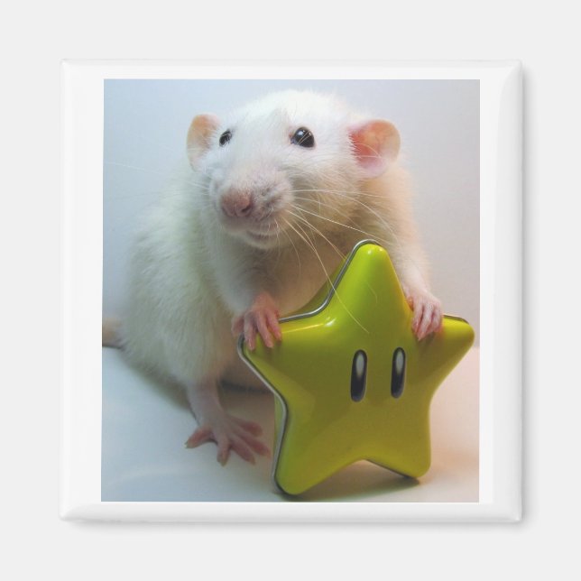 Be Your Own Star Magnet (Front)