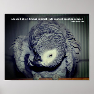 Be Yourself Cute Parrot Inspirational Quote Poster