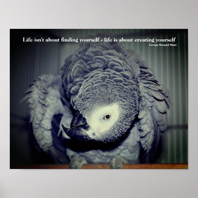 Be Yourself Cute Parrot Inspirational Quote Poster (Front)