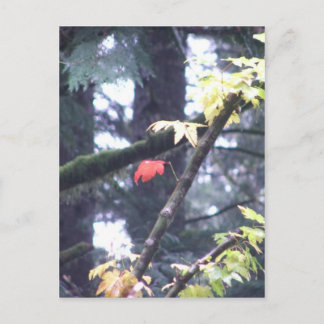 Be Yourself Postcard