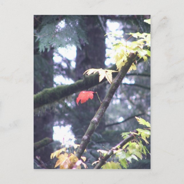 Be Yourself Postcard (Front)