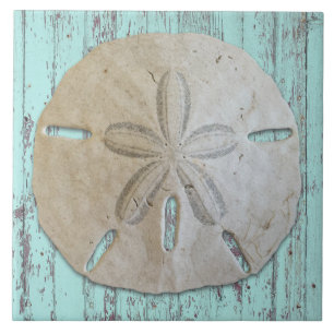 Beach Aesthetic Sand Dollar Decor Tile