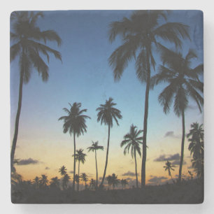 Beach And A Coastal Village Praia Do Forte Stone Coaster