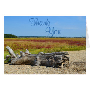 Beach and Driftwood Thank You Card
