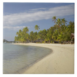 Beach and palm trees, Plantation Island Resort 2 Tile