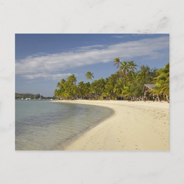 Beach and palm trees, Plantation Island Resort Postcard (Front)
