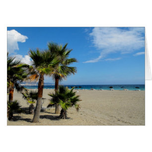 Beach and palms at Puerto Banus